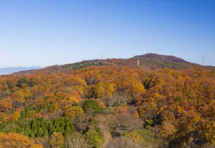 生駒山「開年第一峰」ハイキング 🎍 - 大阪で開催されるアウトドア活動