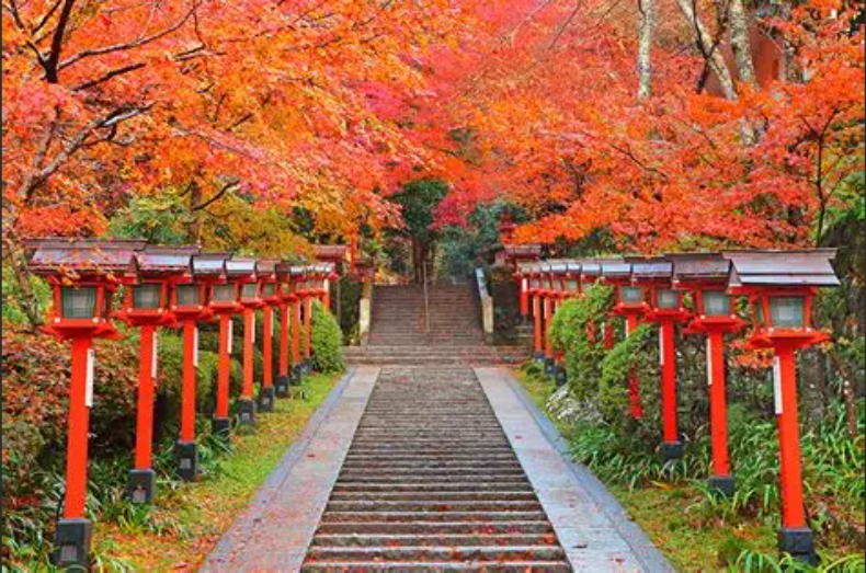鞍馬 → 貴船 紅葉ハイキング 🍁 - 京都で開催されるアウトドア活動